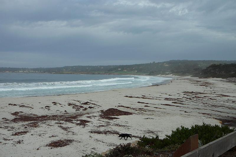 Carmel 10-30-08 238.jpg